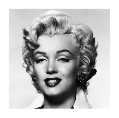 monroe-portrait