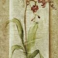 Cheri Blum - Orchid Panel