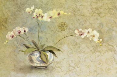 orchids-in-a-porcelain-bowl