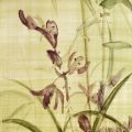 Cheri Blum - Orchids of the Orient I