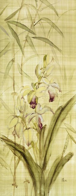 orchids-of-the-orient-ii