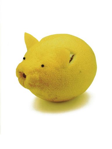 lemon-pig