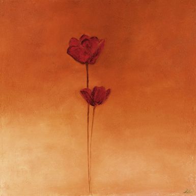 poppy-elegance-ii