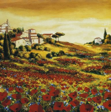 valley-of-poppies