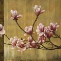 Erin Lange - Pink Magnolias