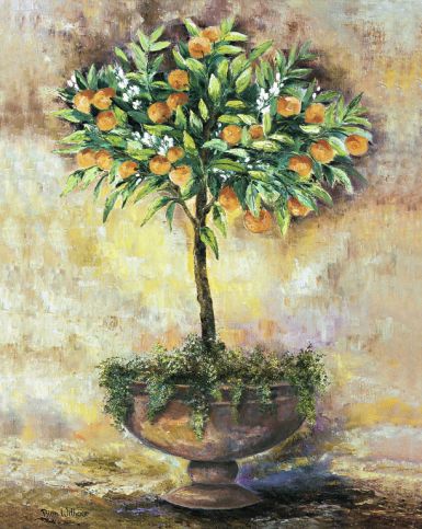 orange-tree