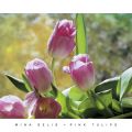 Mina Selis - Pink Tulips II