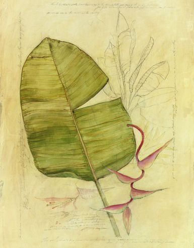 botanical-journal-i