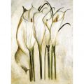 Heidi Gerstner - White Callas I