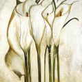 Heidi Gerstner - White Callas