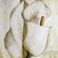 Heidi Gerstner - Standing Calla