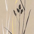 Design show - Oatmeal Meadow Grass