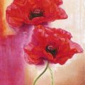 Gilles Legris - Red Glow Poppy