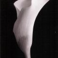 Helen Maynard - Monochrome Calla