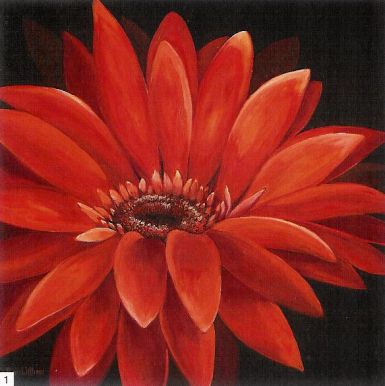 fantastic-gerbera