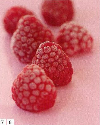 sweet-raspberries