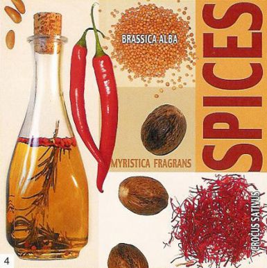 indian-spices