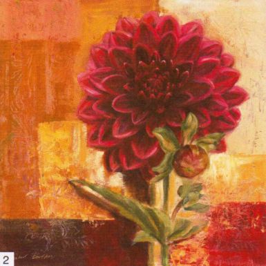 delightful-dahlia