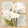 Laura Martinelli - Calla Lily Poetry