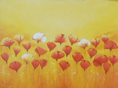 wild-rred-poppies